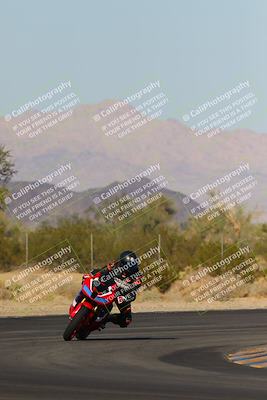 media/Nov-11-2023-SoCal Trackdays (Sat) [[efd63766ff]]/Turn 7 (2pm)/